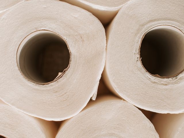 Rollos de papel, imagen de referencia de papel institucional